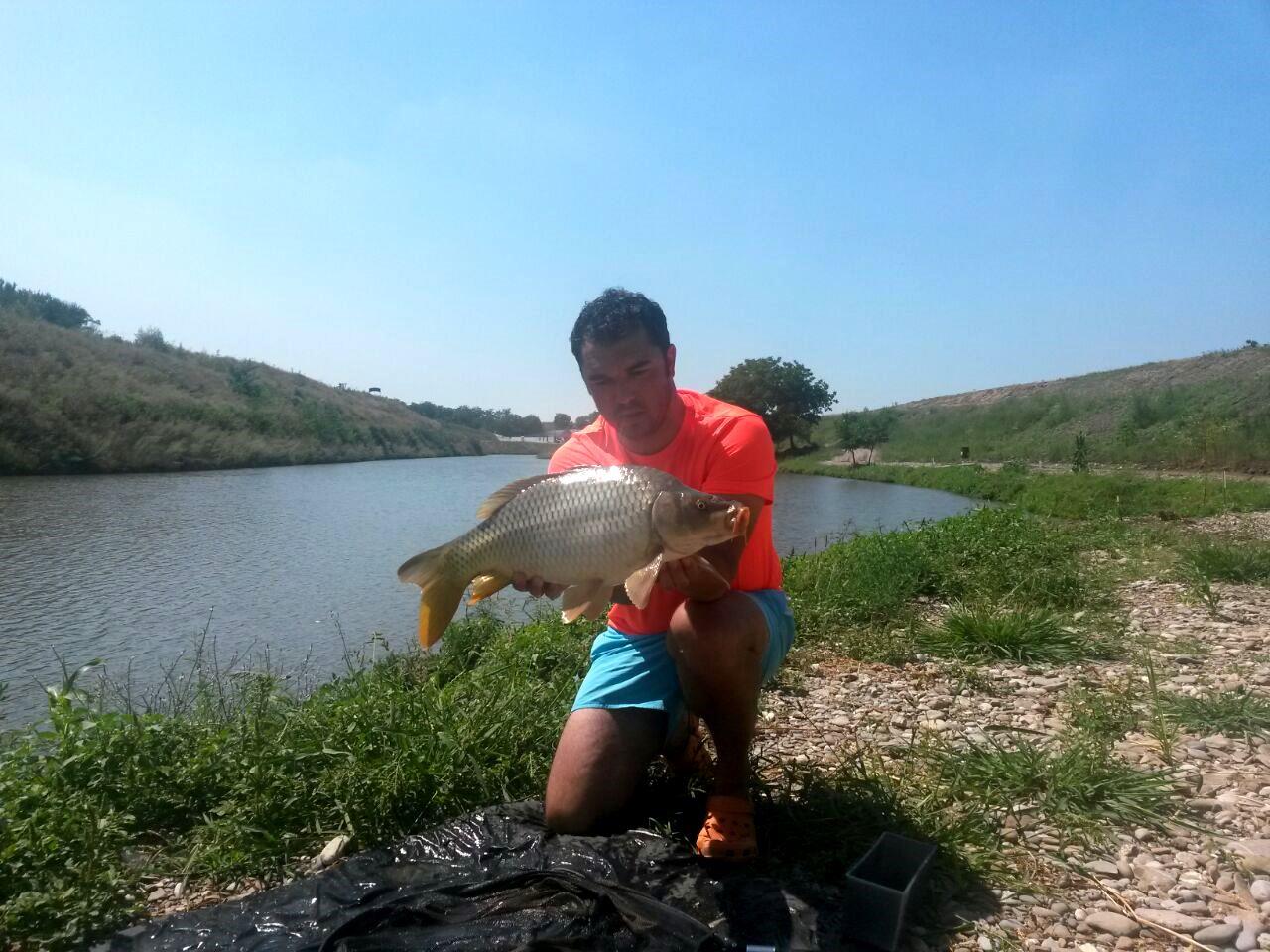 Gruiu (La da-i bataie)  2 august 2015 - img-20150802-wa0019.jpg